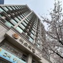 우성동물병원 | 가양역 원룸 오피스텔 월세 이스타빌