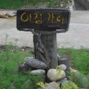 내린천 자연세상 이미지