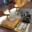 월가스테이 | 제주 감성숙소 독채 자쿠지 숙소 월가스테이 후기