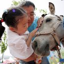 가정공원 이미지