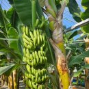 정보농장 이미지