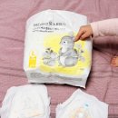 사랑샘어린이집 | 모모래빗 에코 컴포트핏 팬티기저귀 후기 (어린이집 낮기저귀 추천)