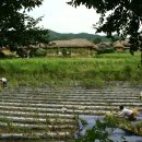 가작축산 이미지