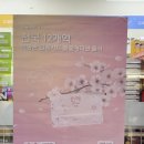 스토리웨이 가산역상행점 | 서울역 코레일 벚꽃 교통카드 한정판 출시! 재고 풀렸어요