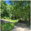 열린행정사사무소 이미지