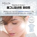 윌리엄스파