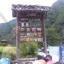 든돌민박 네이버블로그