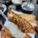 너 고등어 나 삼치