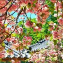 아라메길(1) 이미지