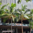 ONE DENTAL | [하와이 마트 둘러보기] 와이키키 마켓, 월마트 + 가장 맛있는 One Pick!