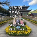 날아라슈퍼 | 보은법주사(세계문화유산)국화 축제 후기 주차팁, 향기로운 가을 산책하기 좋아요 ♪