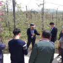 장성종합시장