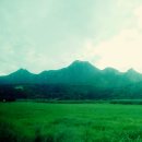 나리촌식당 이미지