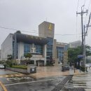펫아울렛수영