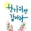 반가운 누가/ 장철문 이미지