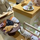 Wish | NCT WISH WISH BAKERY 2/8 팝업 후기