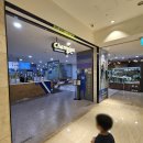부산진키즈 - 부산진구 | 챔피언 롯데백화점 부산본점 키즈카페 주말 유아 실내놀이 추천