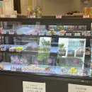 오산스마일마카롱