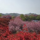 옥녀봉공중화장실 이미지