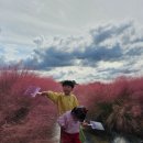 우리주말농원식당 | [국내여행] 서울근교 가을꽃밭 성지! 양주 나리농원 천일홍, 핑크뮬리 실화냐? 💐💖
