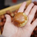 아라리사과대추