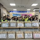 보령이불