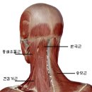 필라테스제이앤제이
