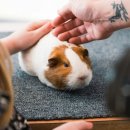 (주)케이지환경 이미지