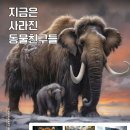 더함미술교습소 - 서대문구 모래내로15길 56 | 더함미술교습소