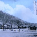 온혜초교 이미지