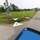 조수리엔 이미지