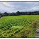 난산리마을회관 이미지