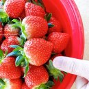 희수농장 이미지