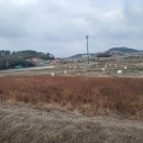 중앙1호 태양광발전소 이미지