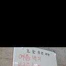 설보손두부
