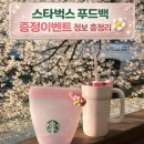 대상푸드 - 17648 | 스타벅스 스프링 실리콘 푸드백 출시 색상 가격 대상음료 성공후기 락앤락