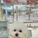 마음이네 멍발소 이미지