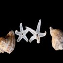 바다가고향 이미지