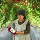 놀숲농원 이미지