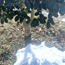 함평자연생태공원 이미지