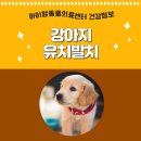 아이맘동물의료센터 이미지