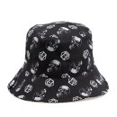 페르시안 캣 이미지