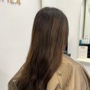 살롱(Salon)12.4