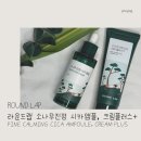 스포이드디자인랩 | 라운드랩 소나무진정시카앰플 & 소나무진정시카크림플러스 후기, 수부지 트러블 진정템 추천