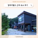 홍천펜션 알파카월드랑 가까운 알파카소풍펜션 후기