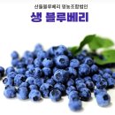 생생정보 수확의 달인 신이 내린 보랏빛 선물, 블루베리 산들블루베리 택배주문방법