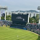 강병준 | 야구직관후기_두산베어스 vs 롯데자이언츠(250605)_잠실야구장 1루 네이비석 307블록 17열