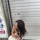 을지오뎅