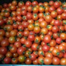 춘천사랑종합유통 이미지