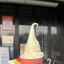 담양여행 | 담양 여행 맛집 내돈내산 후기 - 국수거리 옛날진미국수, 김순옥찹쌀도너츠, 남도예담